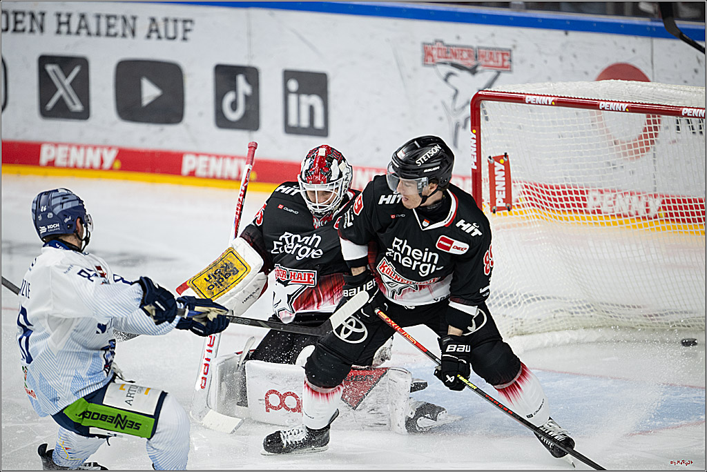 PENNY DEL 1; Kölner Haie - Straubing Tigers; Köln, 19.10.2025
