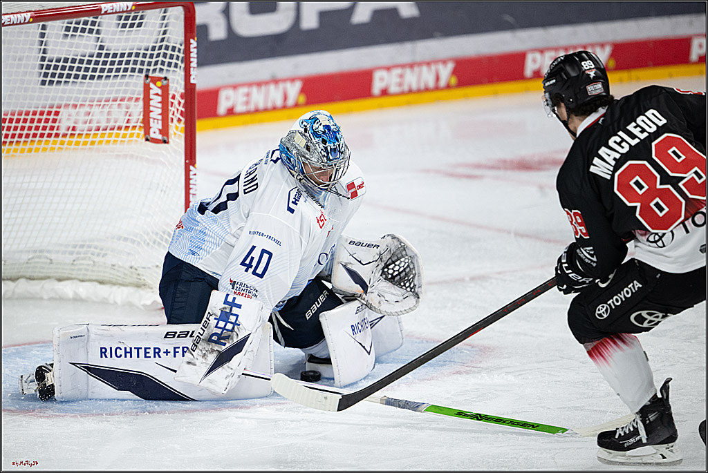 PENNY DEL 1; Kölner Haie - Straubing Tigers; Köln, 19.10.2025