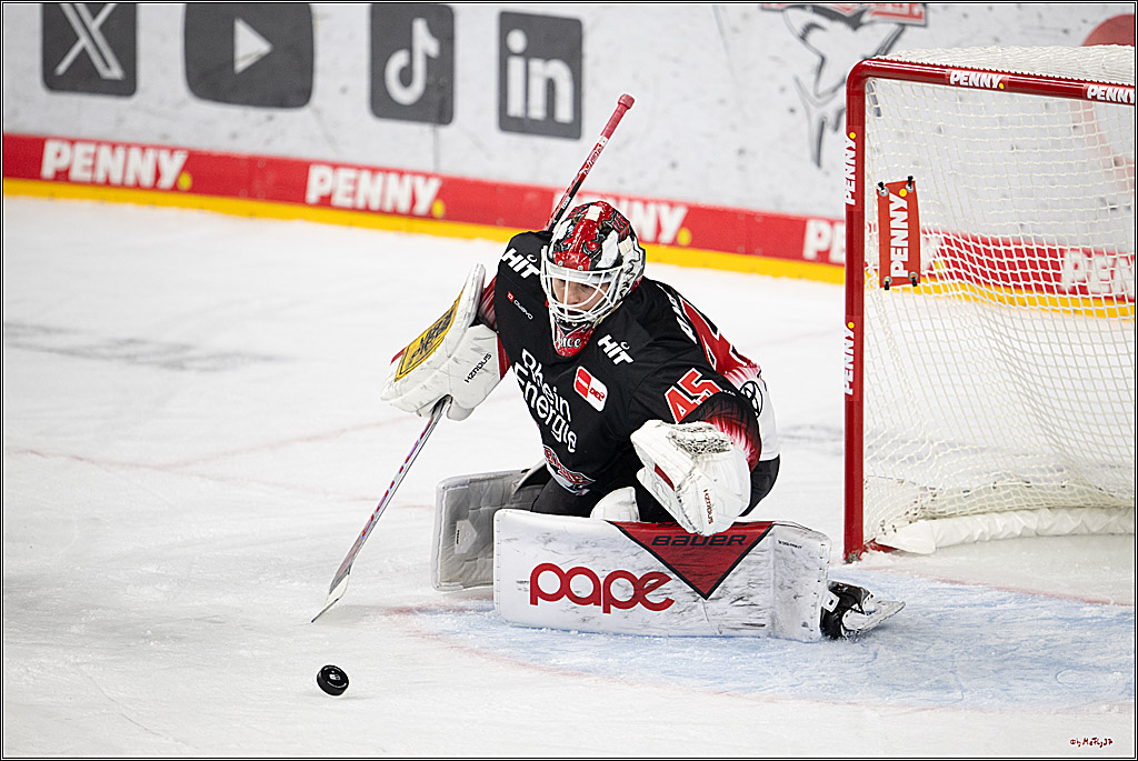 PENNY DEL 1; Kölner Haie - Straubing Tigers; Köln, 19.10.2025