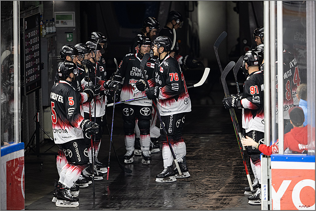 PENNY DEL 1; Kölner Haie - Straubing Tigers; Köln, 19.10.2025