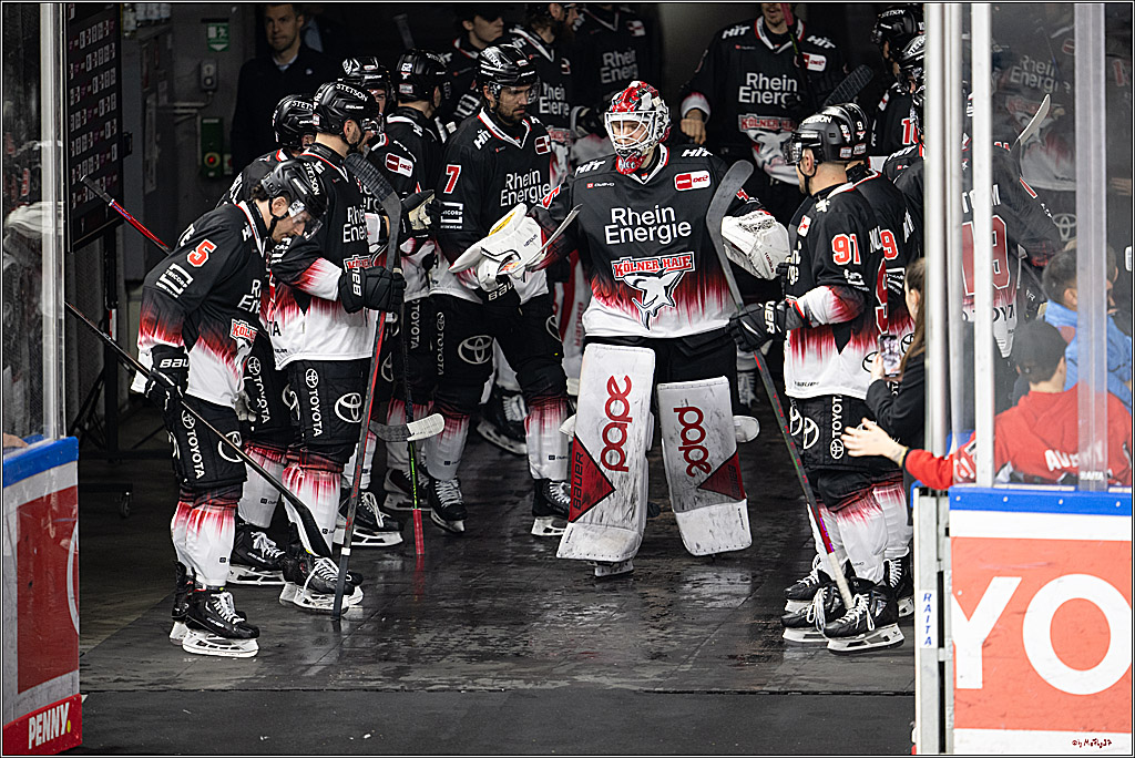 PENNY DEL 1; Kölner Haie - Straubing Tigers; Köln, 19.10.2025