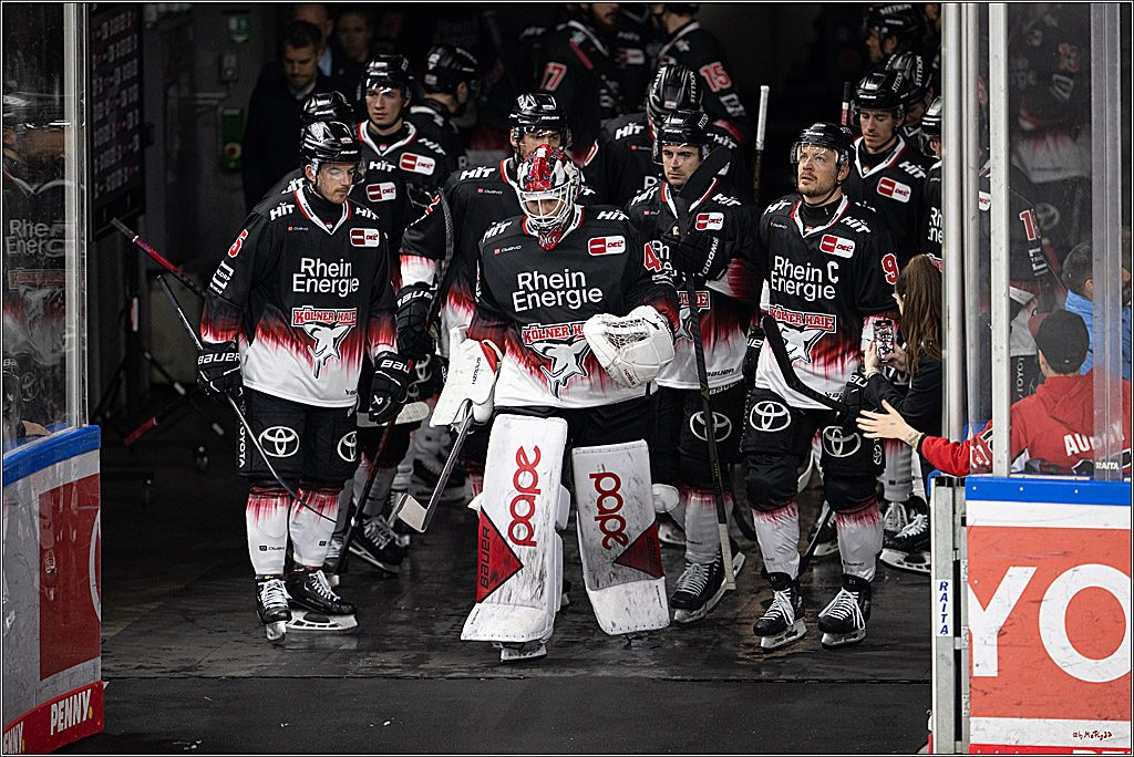 PENNY DEL 1; Kölner Haie - Straubing Tigers; Köln, 19.10.2025