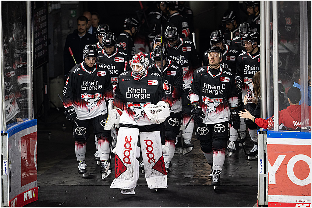 PENNY DEL 1; Kölner Haie - Straubing Tigers; Köln, 19.10.2025