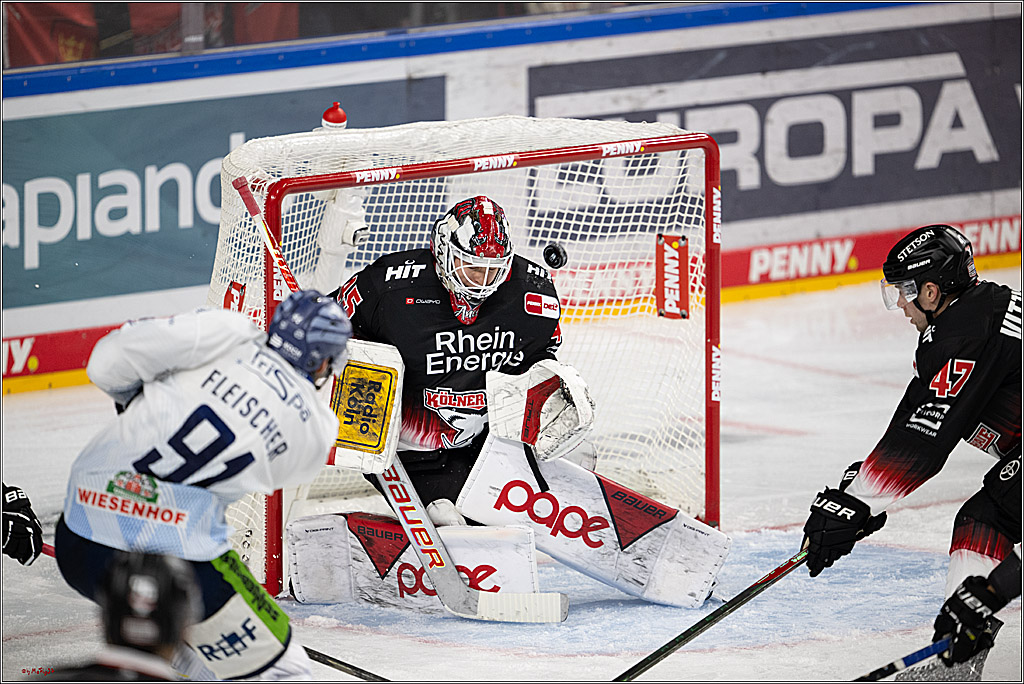 PENNY DEL 1; Kölner Haie - Straubing Tigers; Köln, 19.10.2025