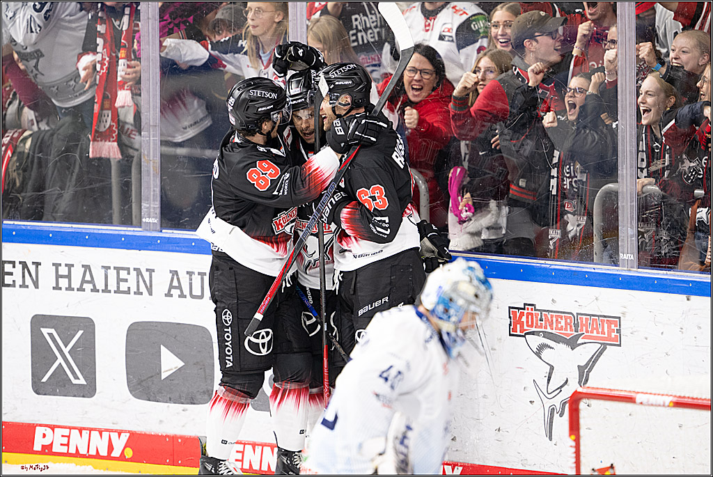 PENNY DEL 1; Kölner Haie - Straubing Tigers; Köln, 19.10.2025