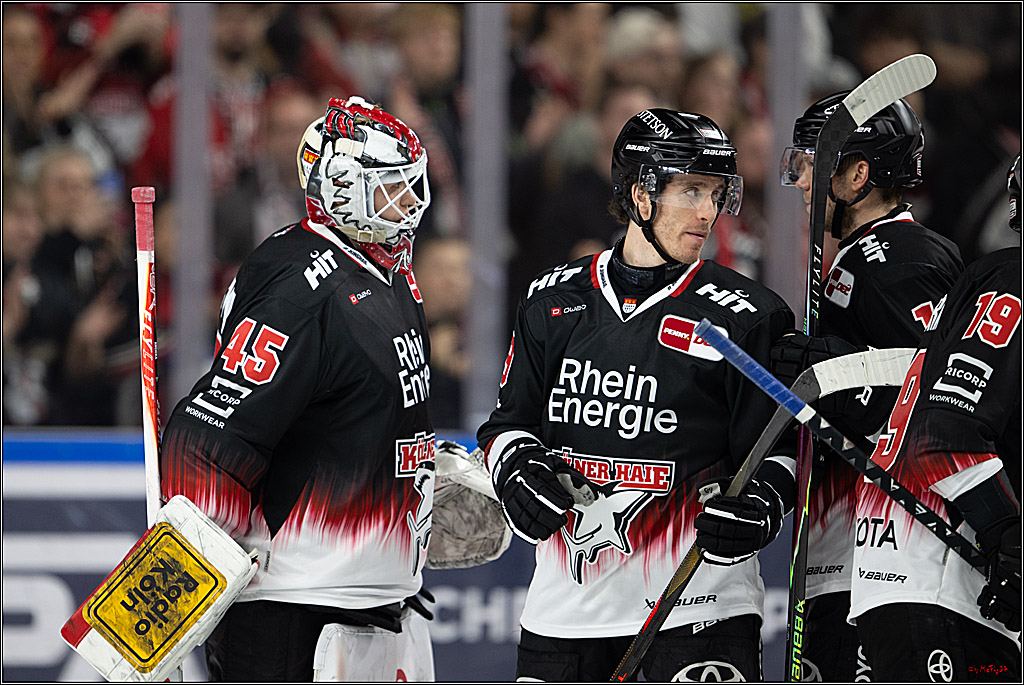 PENNY DEL 1; Kölner Haie - Straubing Tigers; Köln, 19.10.2025