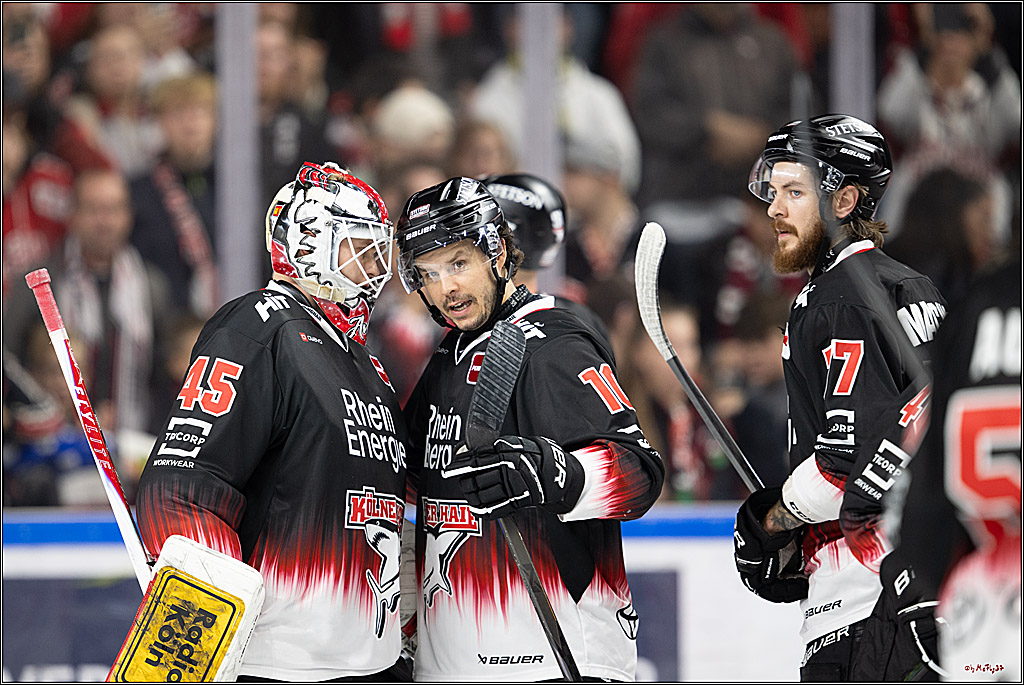 PENNY DEL 1; Kölner Haie - Straubing Tigers; Köln, 19.10.2025