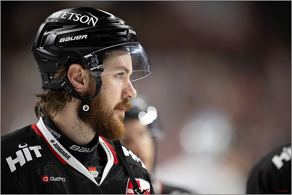 PENNY DEL 1; Kölner Haie - Straubing Tigers; Köln, 19.10.2025