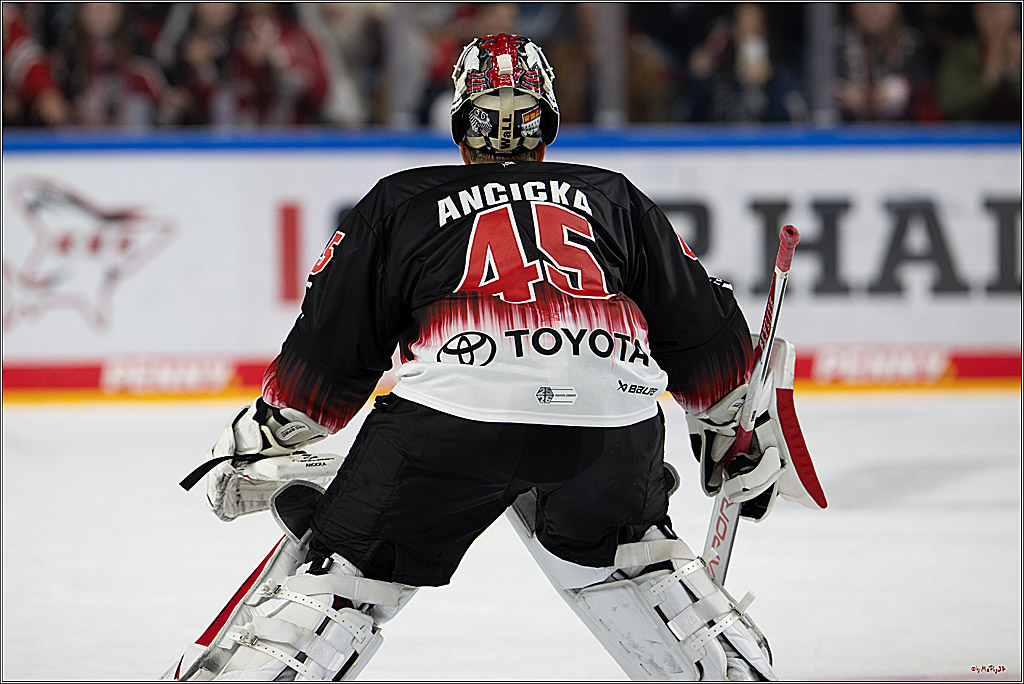 PENNY DEL 1; Kölner Haie - Straubing Tigers; Köln, 19.10.2025