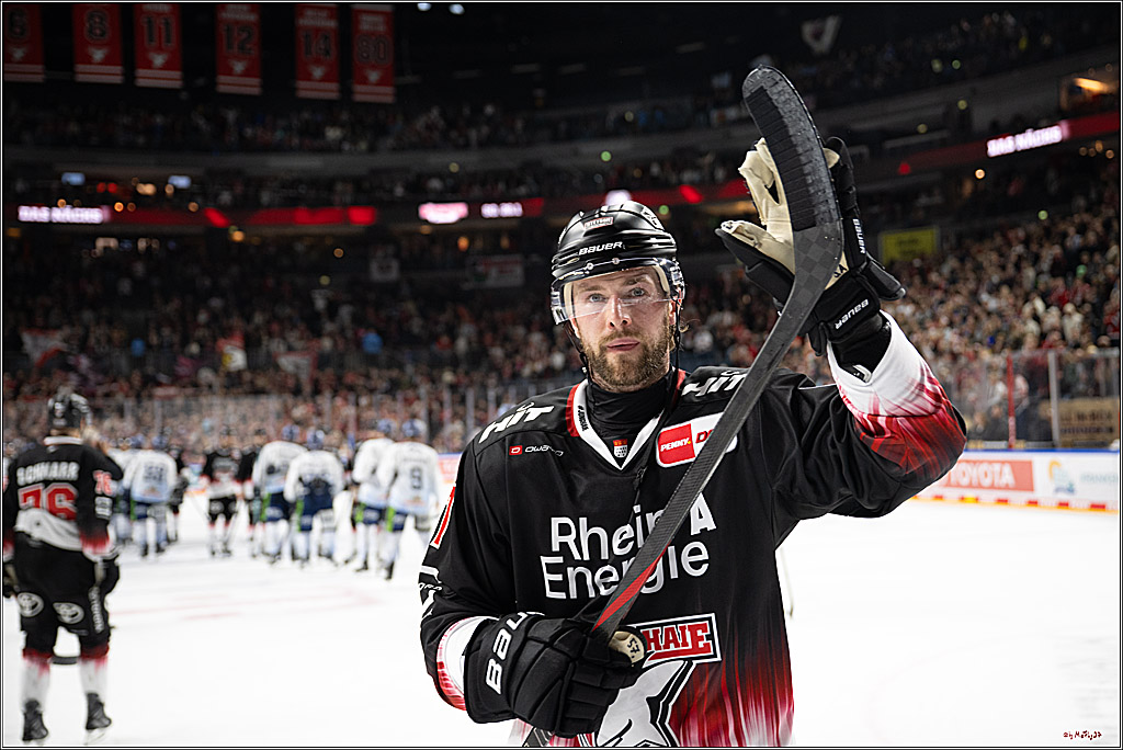 PENNY DEL 1; Kölner Haie - Straubing Tigers; Köln, 19.10.2025