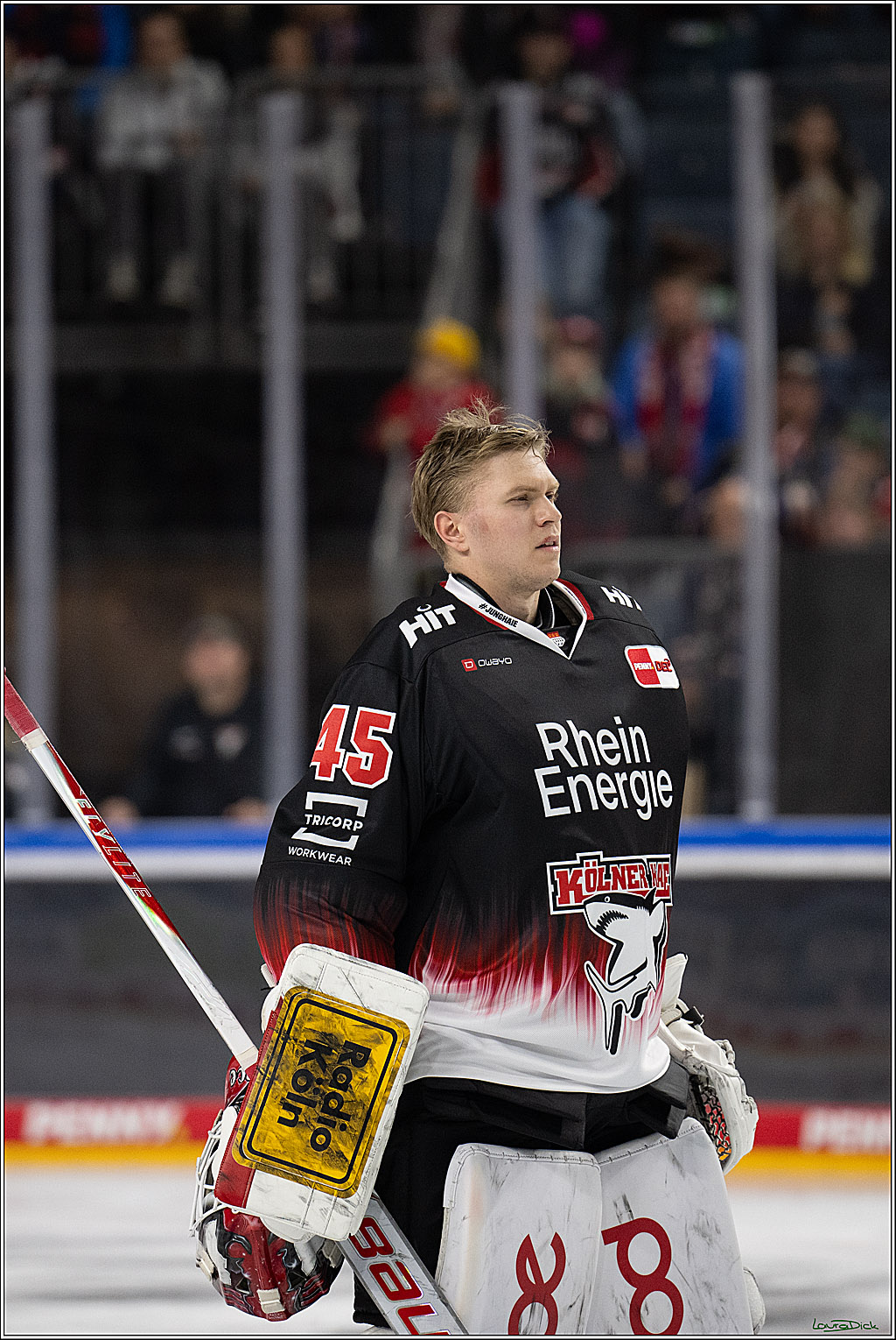 PENNY DEL 1; Koelner Haie - Straubing Tigers; Koeln, 19.10.2025