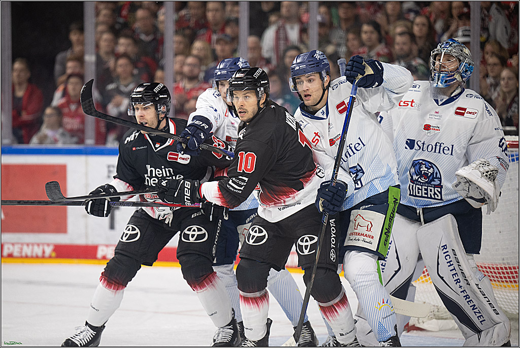 PENNY DEL 1; Koelner Haie - Straubing Tigers; Koeln, 19.10.2025