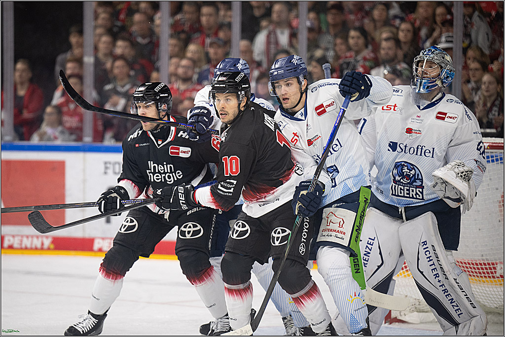 PENNY DEL 1; Koelner Haie - Straubing Tigers; Koeln, 19.10.2025