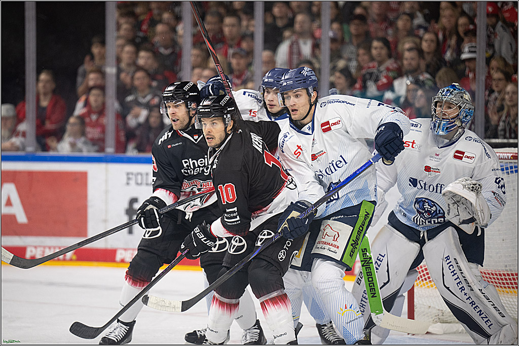PENNY DEL 1; Koelner Haie - Straubing Tigers; Koeln, 19.10.2025