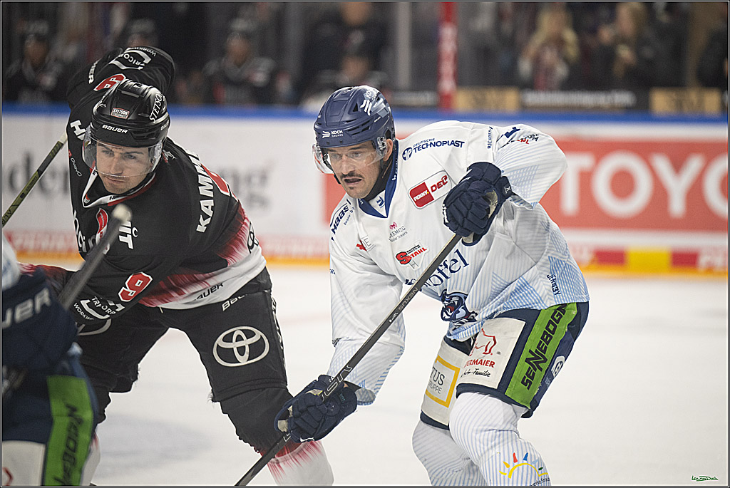PENNY DEL 1; Koelner Haie - Straubing Tigers; Koeln, 19.10.2025