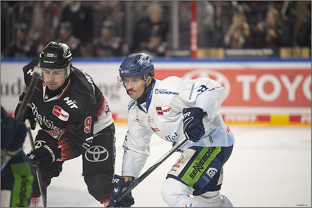 PENNY DEL 1; Koelner Haie - Straubing Tigers; Koeln, 19.10.2025