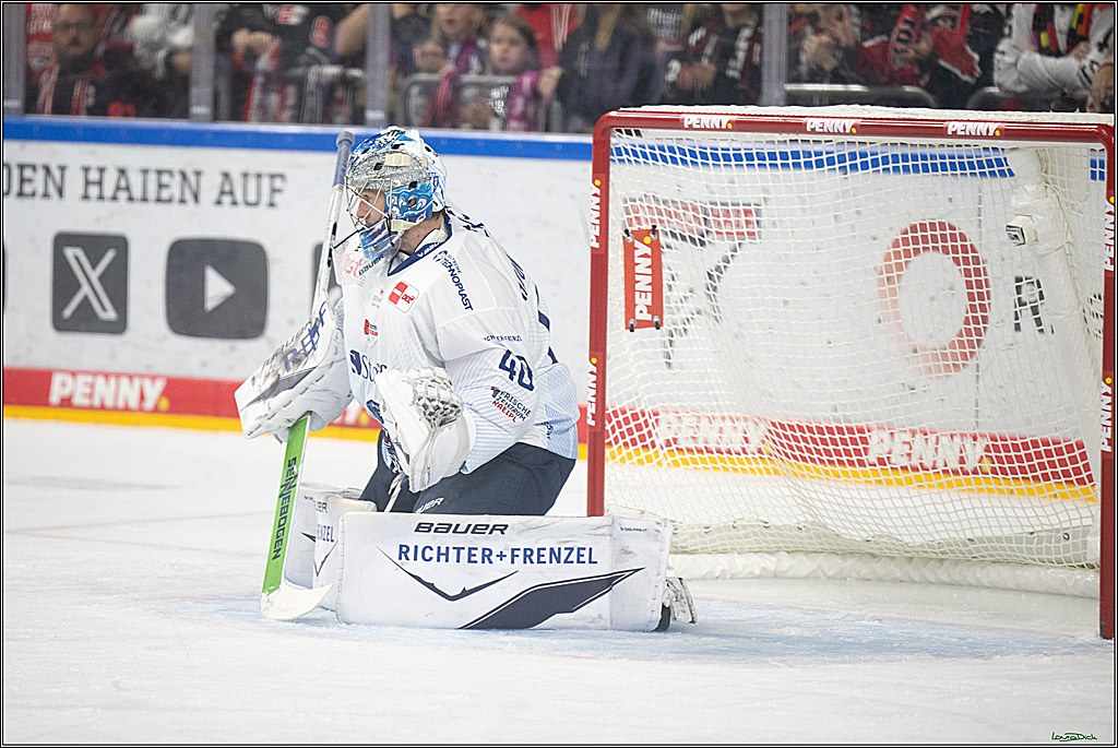 PENNY DEL 1; Koelner Haie - Straubing Tigers; Koeln, 19.10.2025