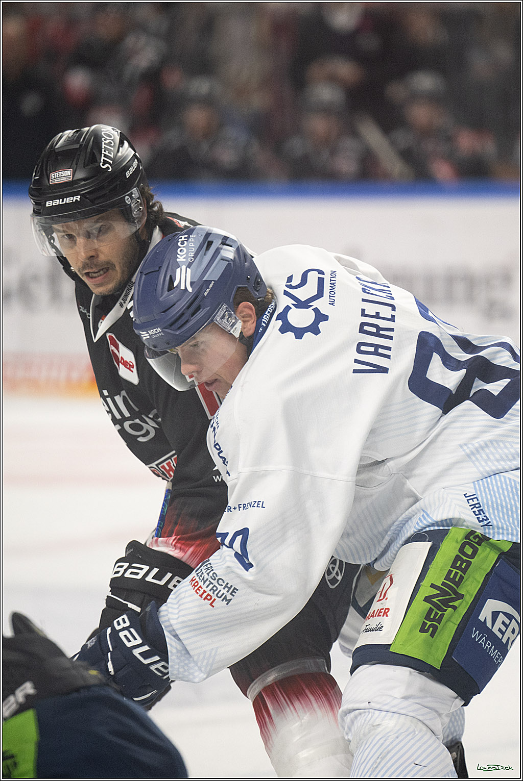 PENNY DEL 1; Koelner Haie - Straubing Tigers; Koeln, 19.10.2025