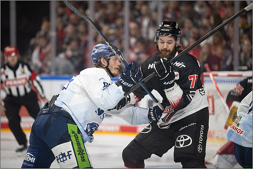 PENNY DEL 1; Koelner Haie - Straubing Tigers; Koeln, 19.10.2025