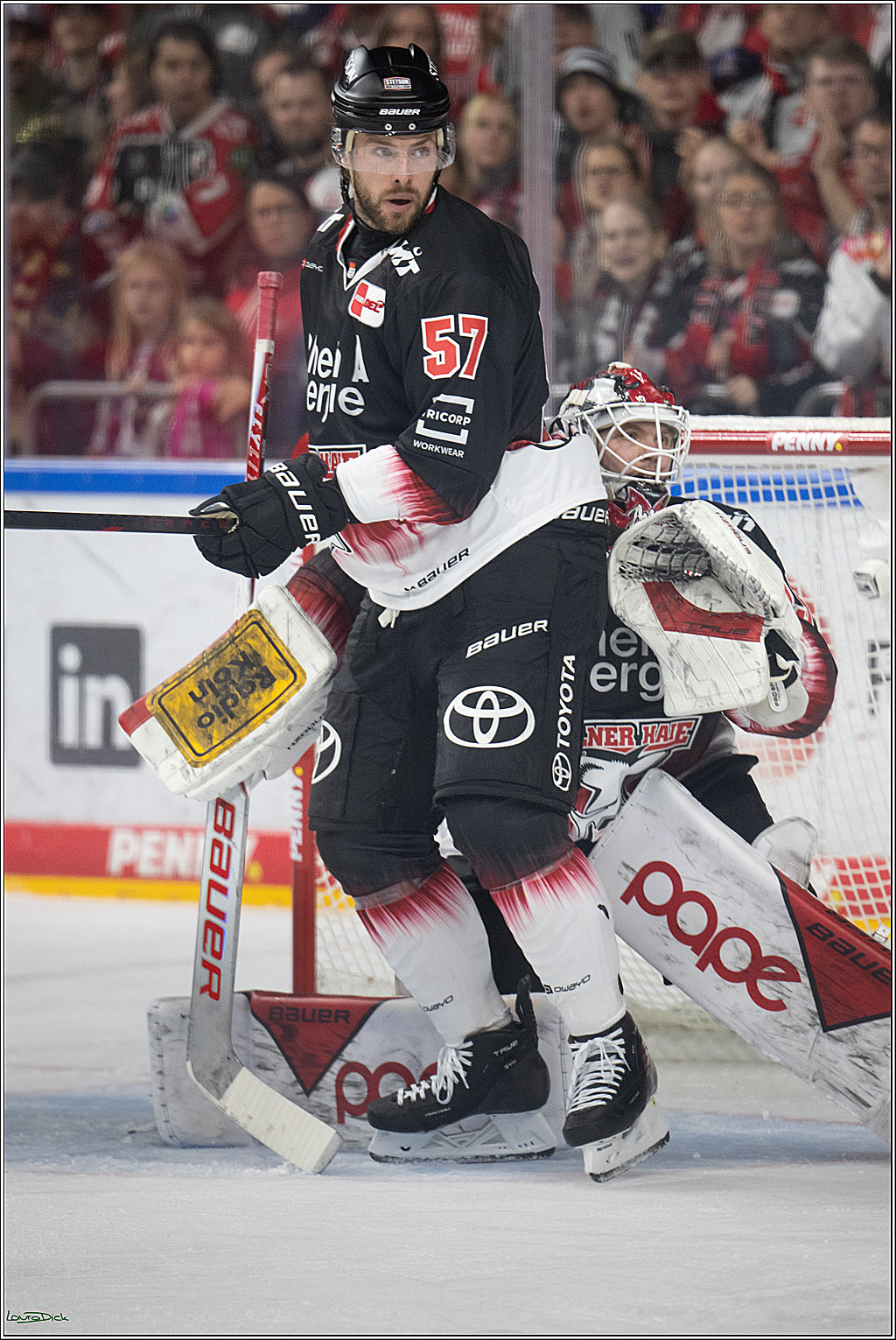 PENNY DEL 1; Koelner Haie - Straubing Tigers; Koeln, 19.10.2025