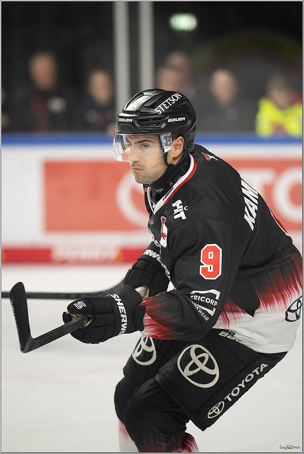 PENNY DEL 1; Koelner Haie - Straubing Tigers; Koeln, 19.10.2025