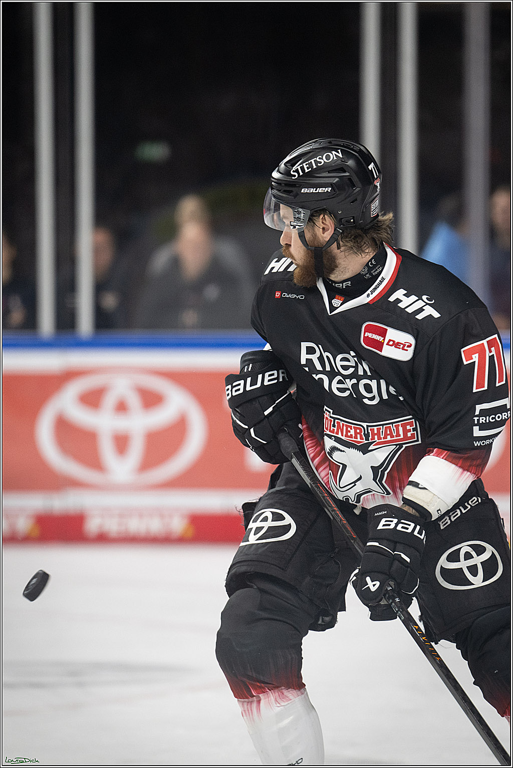 PENNY DEL 1; Koelner Haie - Straubing Tigers; Koeln, 19.10.2025