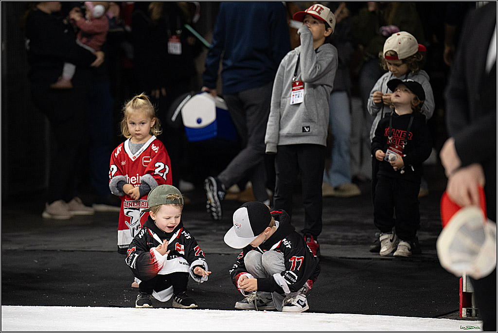 PENNY DEL 1; Koelner Haie - Straubing Tigers; Koeln, 19.10.2025