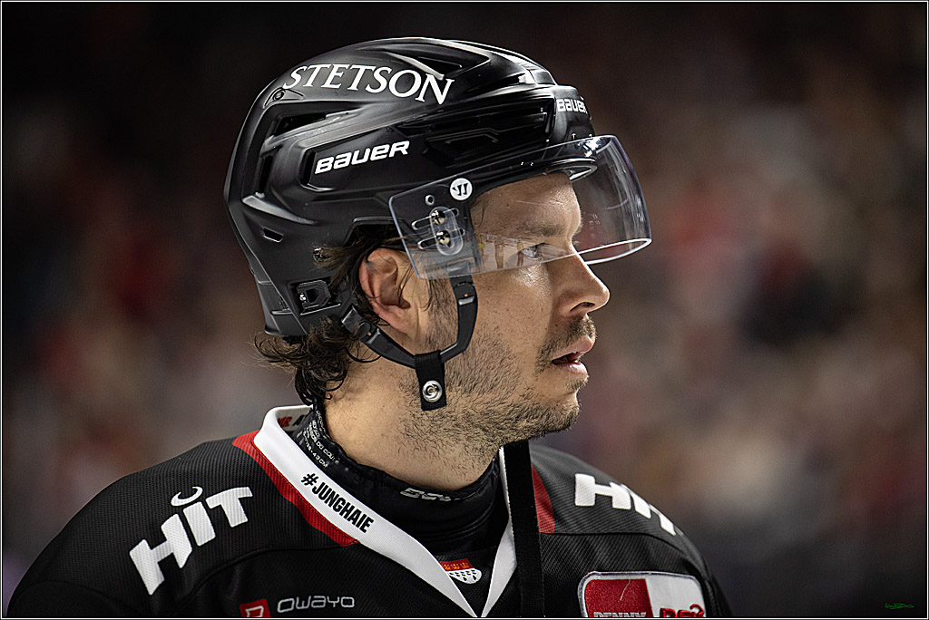 PENNY DEL 1; Koelner Haie - Straubing Tigers; Koeln, 19.10.2025