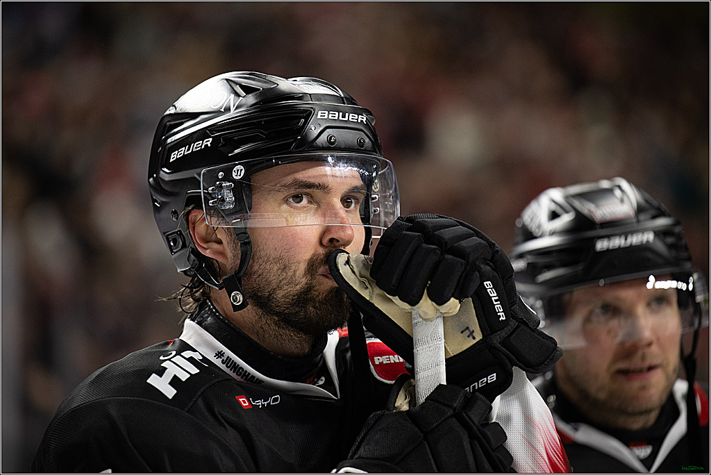 PENNY DEL 1; Koelner Haie - Straubing Tigers; Koeln, 19.10.2025