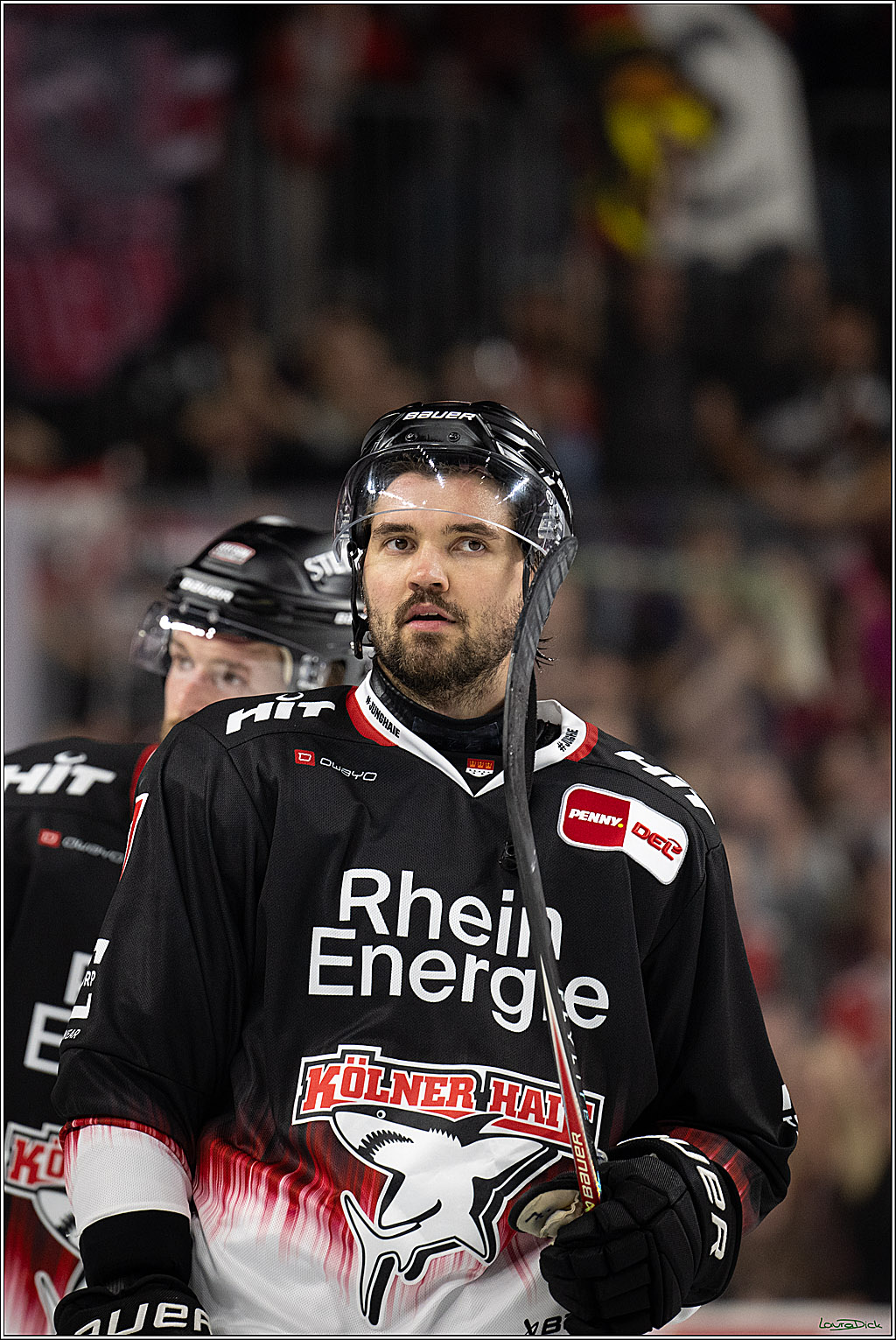 PENNY DEL 1; Koelner Haie - Straubing Tigers; Koeln, 19.10.2025