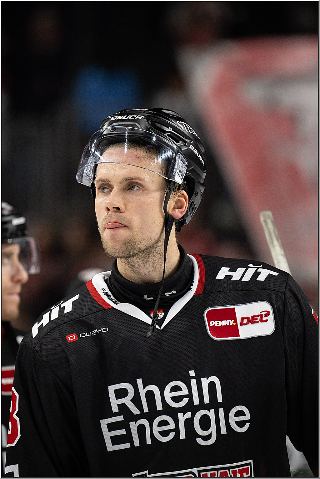 PENNY DEL 1; Koelner Haie - Straubing Tigers; Koeln, 19.10.2025