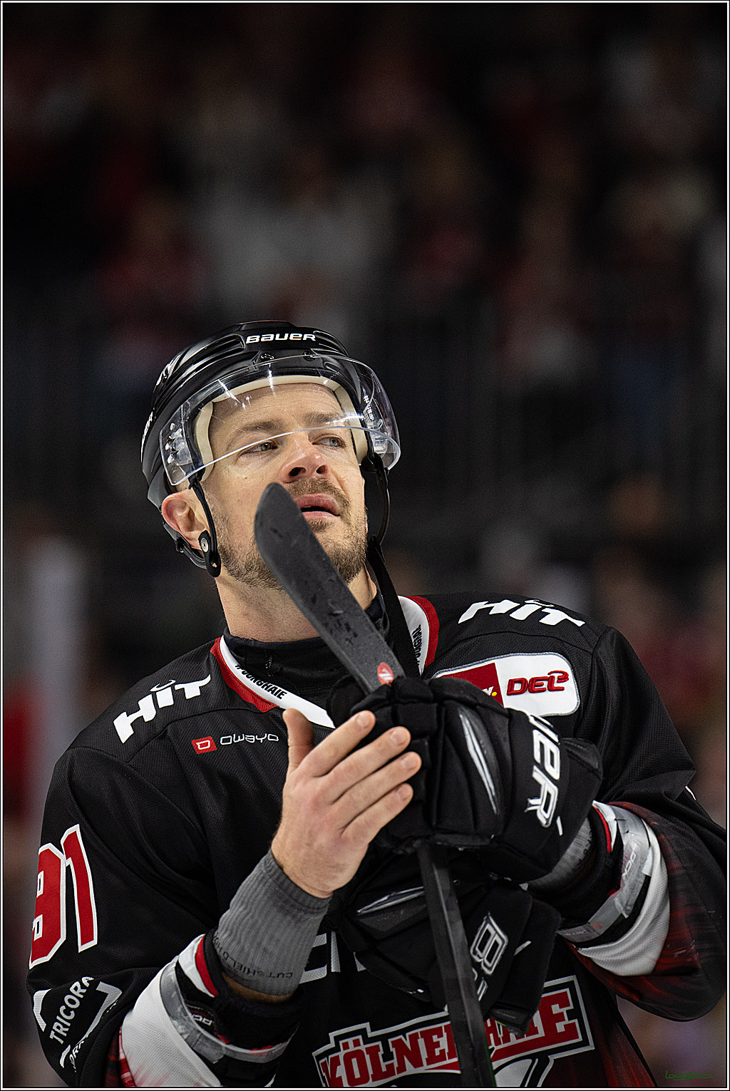 PENNY DEL 1; Koelner Haie - Straubing Tigers; Koeln, 19.10.2025