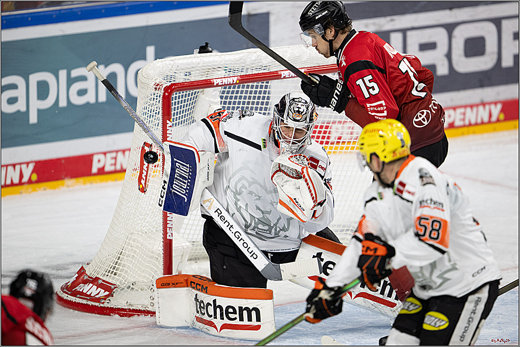 PENNY DEL 1; Kölner Haie - Löwen Frankfurt; Köln, 26.10.2025