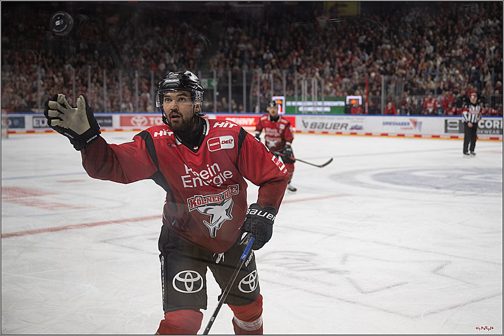 PENNY DEL 1; Kölner Haie - Löwen Frankfurt; Köln, 26.10.2025