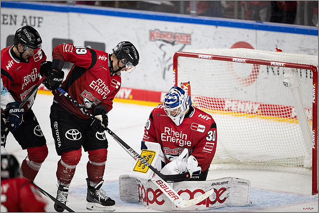PENNY DEL 1; Kölner Haie - Dresdner Eislöwen; Köln, 16.11.2025