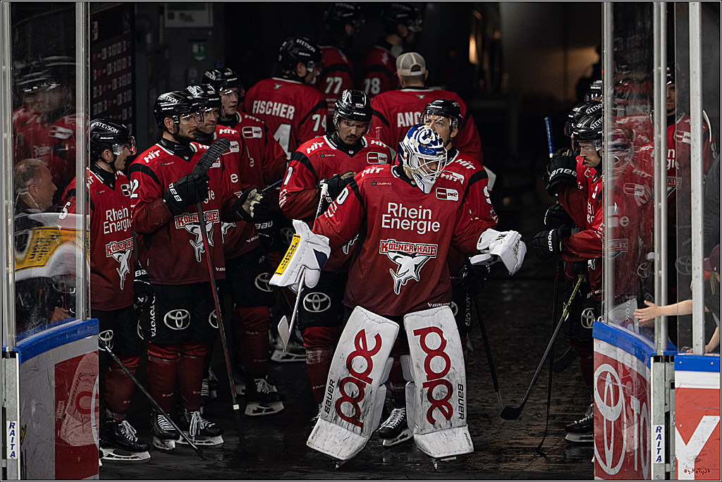 PENNY DEL 1; Kölner Haie - Dresdner Eislöwen; Köln, 16.11.2025
