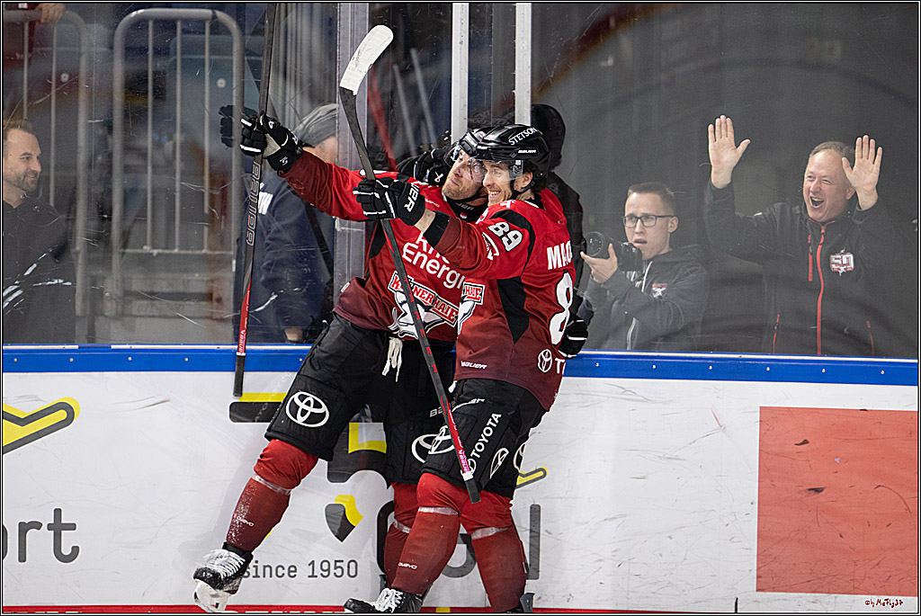 PENNY DEL 1; Kölner Haie - Dresdner Eislöwen; Köln, 16.11.2025