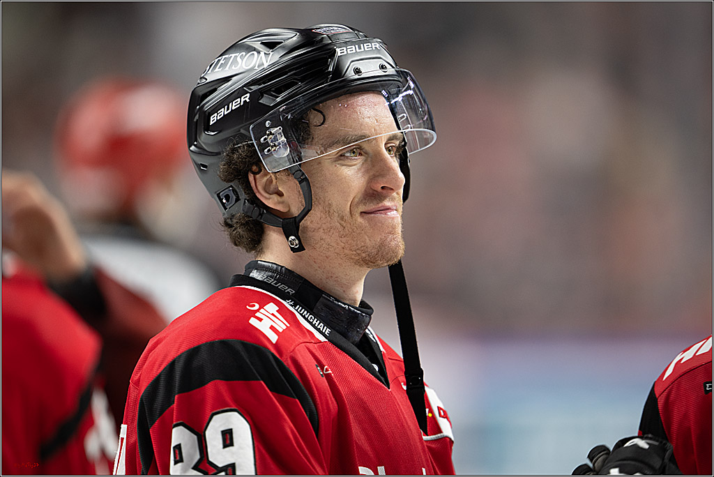 PENNY DEL 1; Kölner Haie - Dresdner Eislöwen; Köln, 16.11.2025