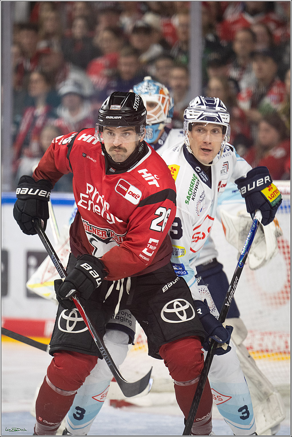 PENNY DEL 1; Kölner Haie - Dresdner Eislöwen; Koeln, 16.11.2025