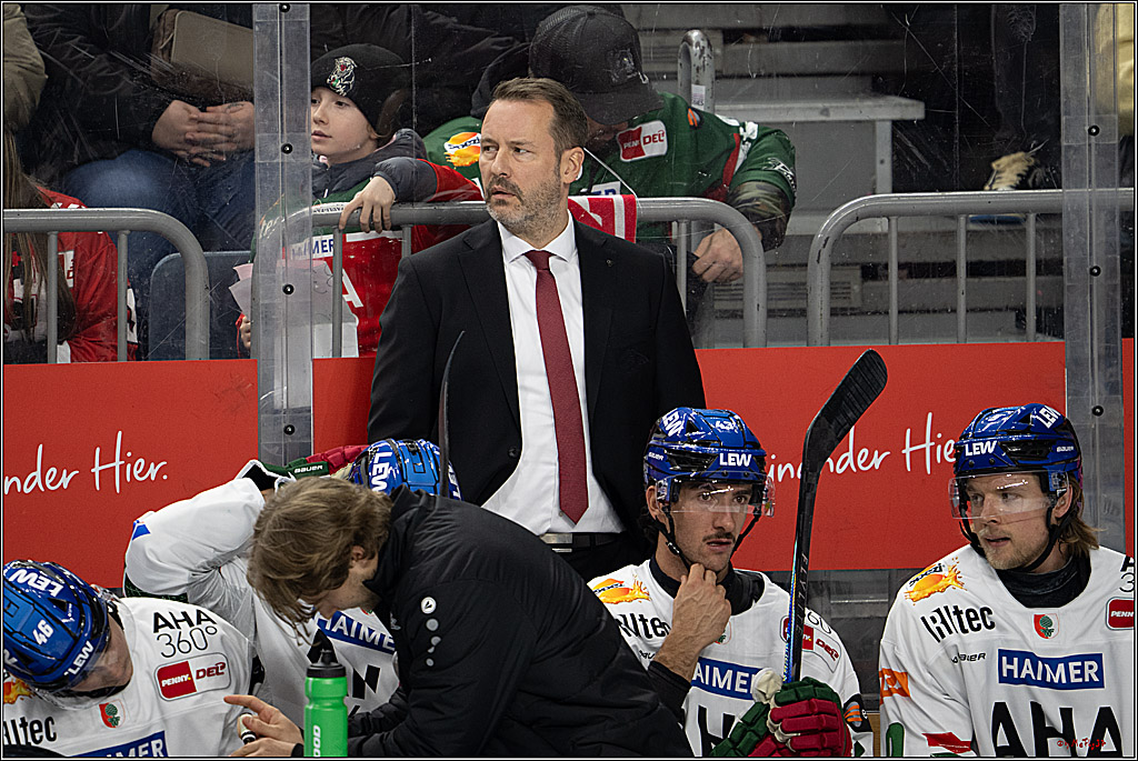 PENNY DEL 1; Kölner Haie - Augsburger Panther; Köln, 21.11.2025