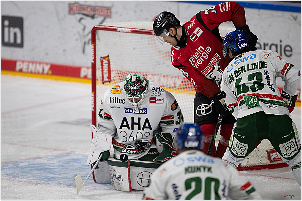 PENNY DEL 1; Kölner Haie - Augsburger Panther; Köln, 21.11.2025