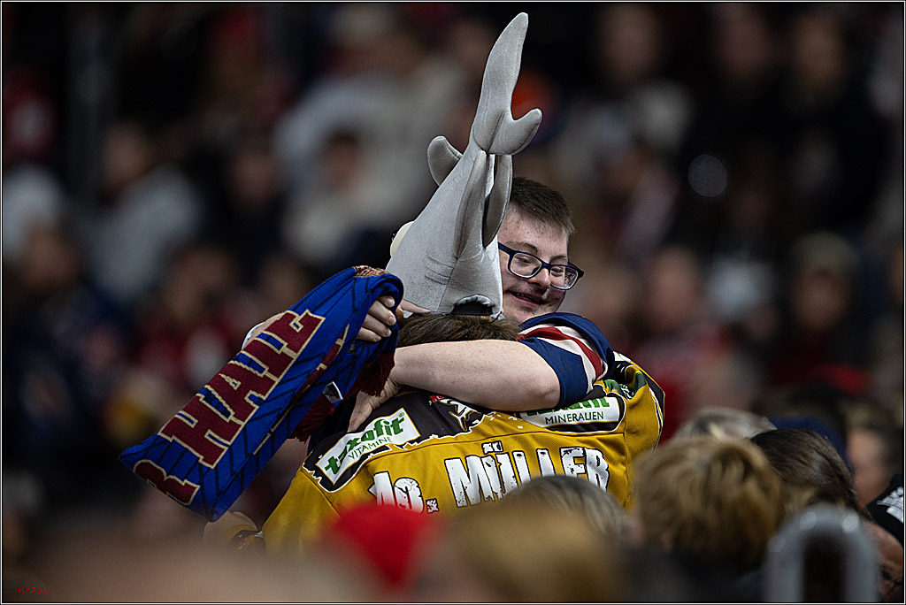 PENNY DEL 1; Kölner Haie - Augsburger Panther; Köln, 21.11.2025