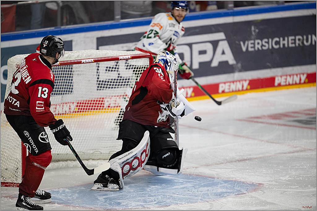 PENNY DEL 1; Kölner Haie - Augsburger Panther; Köln, 21.11.2025