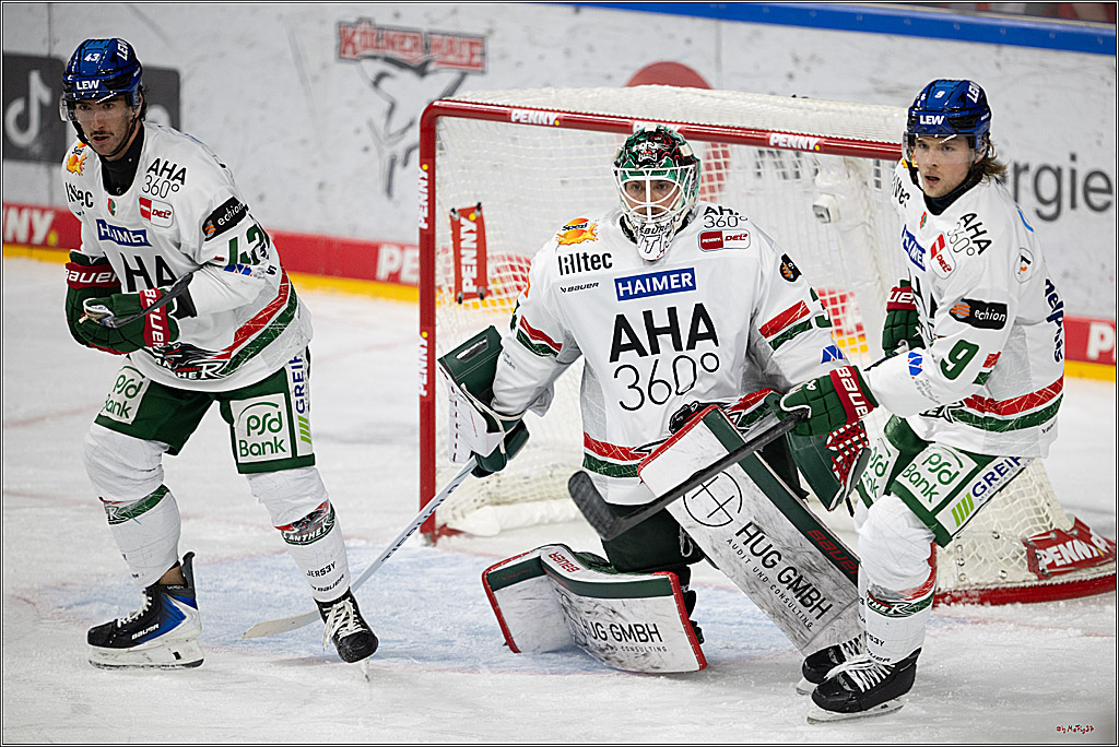 PENNY DEL 1; Kölner Haie - Augsburger Panther; Köln, 21.11.2025