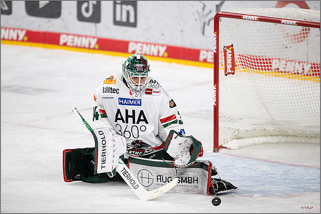 PENNY DEL 1; Kölner Haie - Augsburger Panther; Köln, 21.11.2025