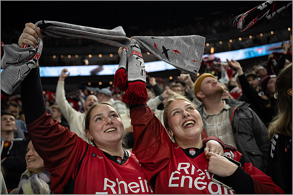 PENNY DEL 1; Kölner Haie - Augsburger Panther; Köln, 21.11.2025