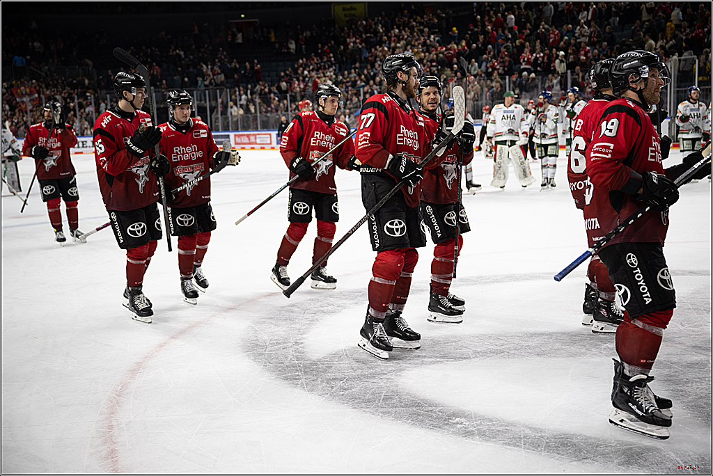 PENNY DEL 1; Kölner Haie - Augsburger Panther; Köln, 21.11.2025