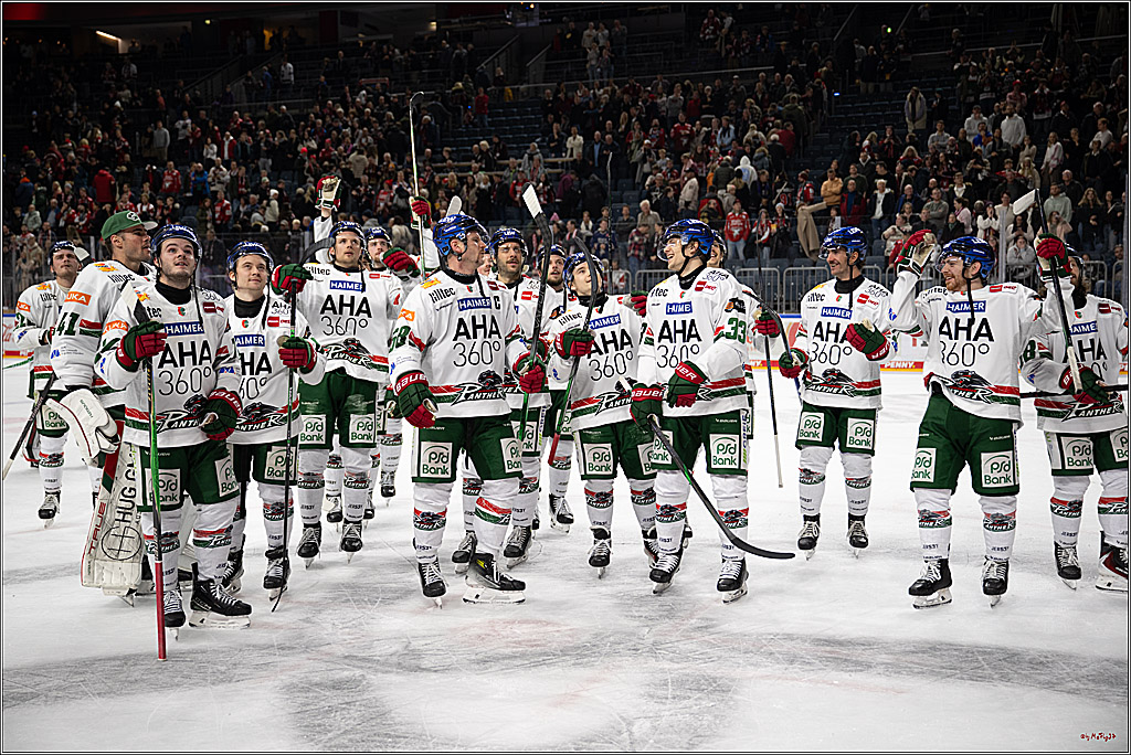 PENNY DEL 1; Kölner Haie - Augsburger Panther; Köln, 21.11.2025