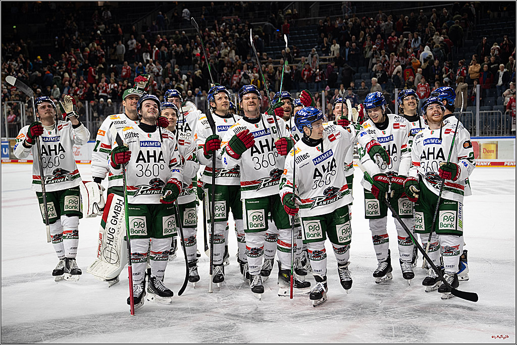 PENNY DEL 1; Kölner Haie - Augsburger Panther; Köln, 21.11.2025