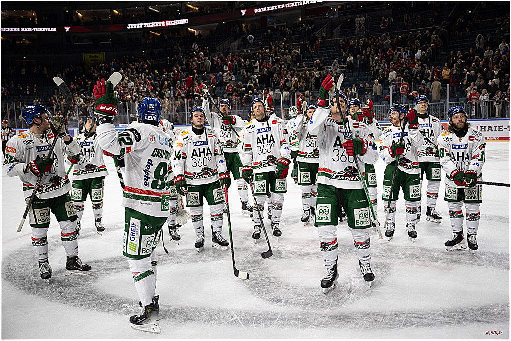 PENNY DEL 1; Kölner Haie - Augsburger Panther; Köln, 21.11.2025